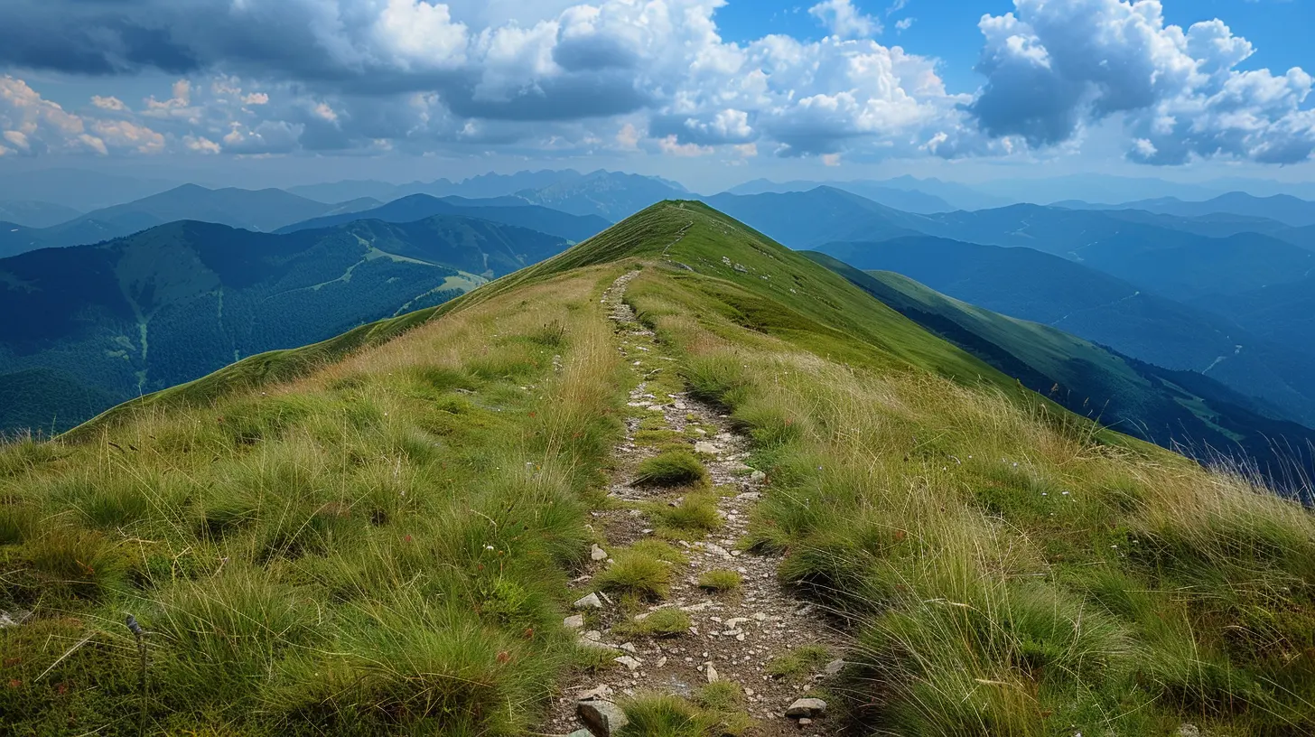 How to Tackle Hills and Improve Your Running Strength