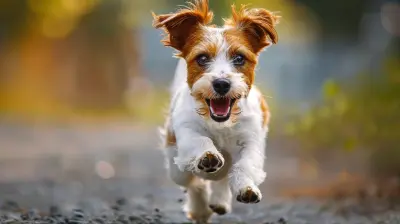 Running with Your Dog: Tips for a Fun and Safe Experience