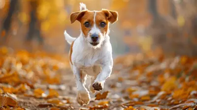 Running with Your Dog: Tips for a Fun and Safe Experience