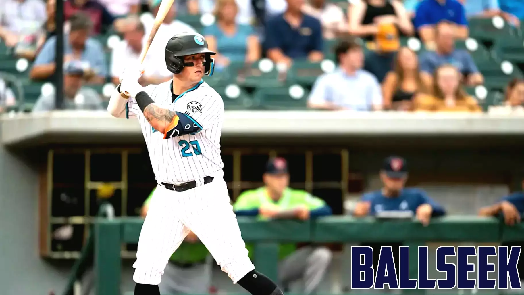 White Sox Minor League Update: May 3, 2026