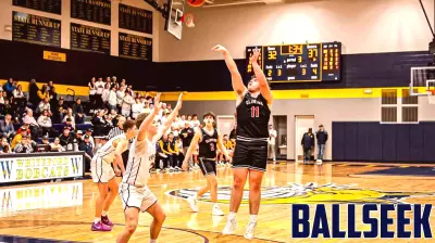 Highlights from Lenawee County High School Sports: Feb. 24 - March 1