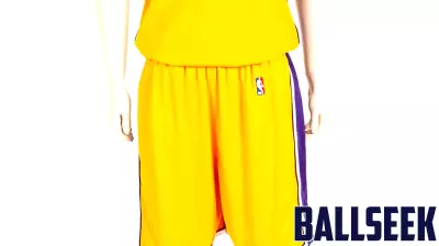 Lakers jersey history No. 42/No. 53